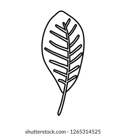 ecology leaf plant icon