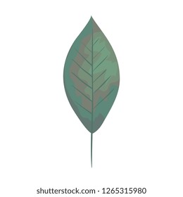 ecology leaf plant icon