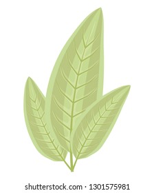 ecology leaf plant icon