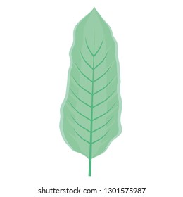 ecology leaf plant icon