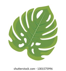 ecology leaf plant icon