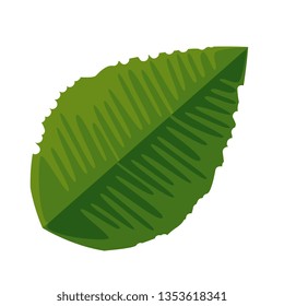 ecology leaf plant icon