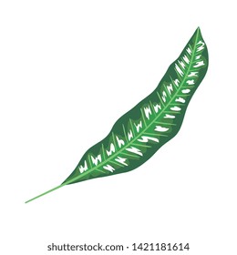 ecology leaf plant nature icon