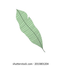 ecology leaf plant nature icon