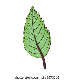 ecology leaf plant nature isolated icon vector illustration design