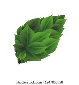 ecology leafs environmental icon