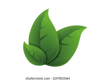 ecology leafs environmental icon