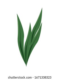 ecology leafs foliage nature icon vector illustration design