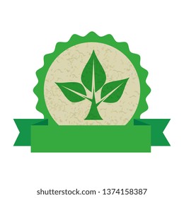 ecology leafs plant circular frame