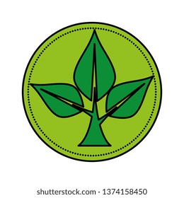 ecology leafs plant circular frame