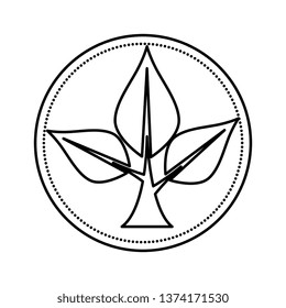 ecology leafs plant circular frame