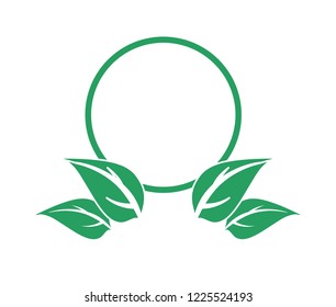 ecology leafs plant frame