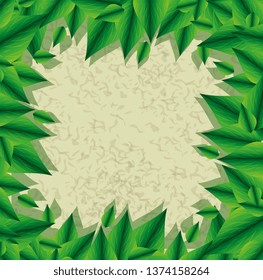 ecology leafs plant frame