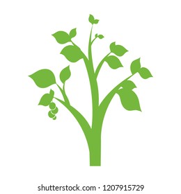 ecology leafs plant icon