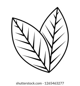 ecology leafs plant icon