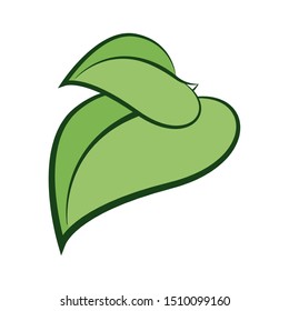 ecology leafs plant icon vector illustration