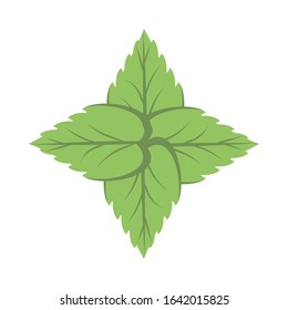ecology leafs plant isolated icon vector illustration design