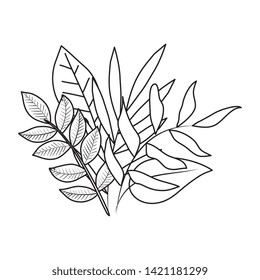 ecology leafs plants and branches nature decoration