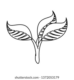ecology leafs plants icon