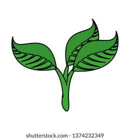 ecology leafs plants icon