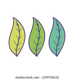 ecology leafs plants icons