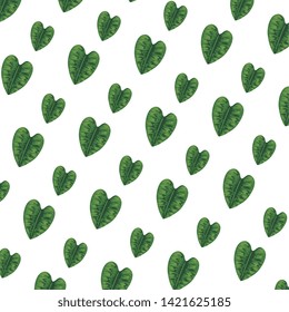 ecology leafs plants nature pattern