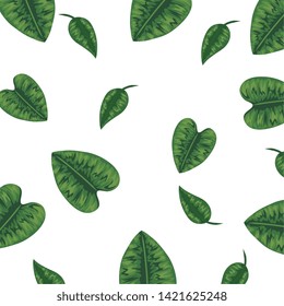 ecology leafs plants nature pattern