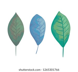 ecology leafs plants styles