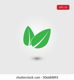 ecology the leaves