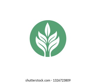 Ecology leaves go green logo illustration