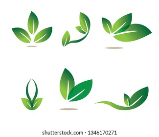 Ecology leaves go green logo illustration - Vector
