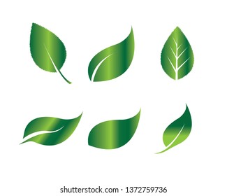 Ilustración del logotipo "Ecology Leaves go green" - Vector
