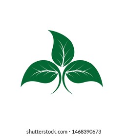 Ecology Leaves go green logo illustration
