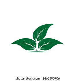 Ecology Leaves go green logo illustration
