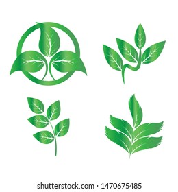 Ecology Leaves go green logo illustration