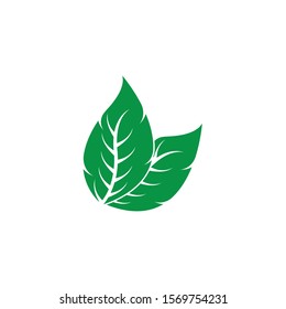 Ecology leaves go green logo vector illustration
