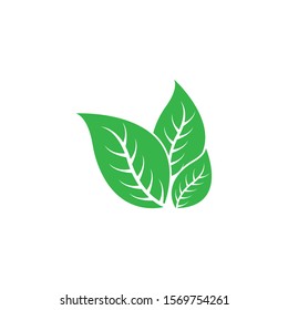 Ecology leaves go green logo vector illustration
