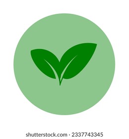 Ecology leaves icon isolated on white background. Vector illustration for graphic design or ecology content