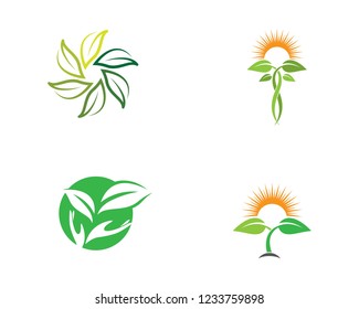 Ecology logo design