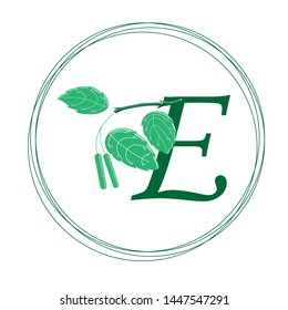 Ecology Logo. Design of a natural eco-friendly product of the company. Flat vector illustration