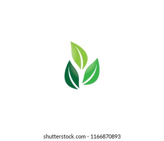 Ecology logo icon