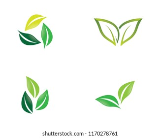 Ecology logo icon