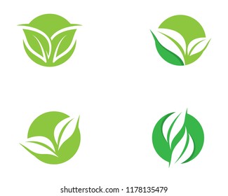 Ecology logo icon