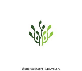 Ecology logo icon