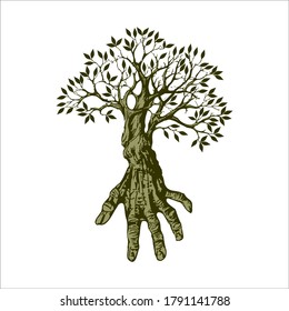 Ecology. Logo, icon, template. Vector illustration, Human hands and tree with green leaves. Logo, symbol, icon, illustration, vector, template, design