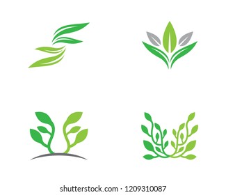 Ecology logo illustration
