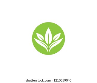 Ecology logo illustration