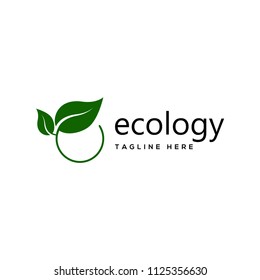 ecology logo, leaf logo design template