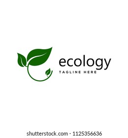 ecology logo, leaf logo design template