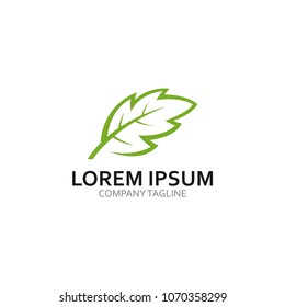 ecology logo modern leaf icon illustration